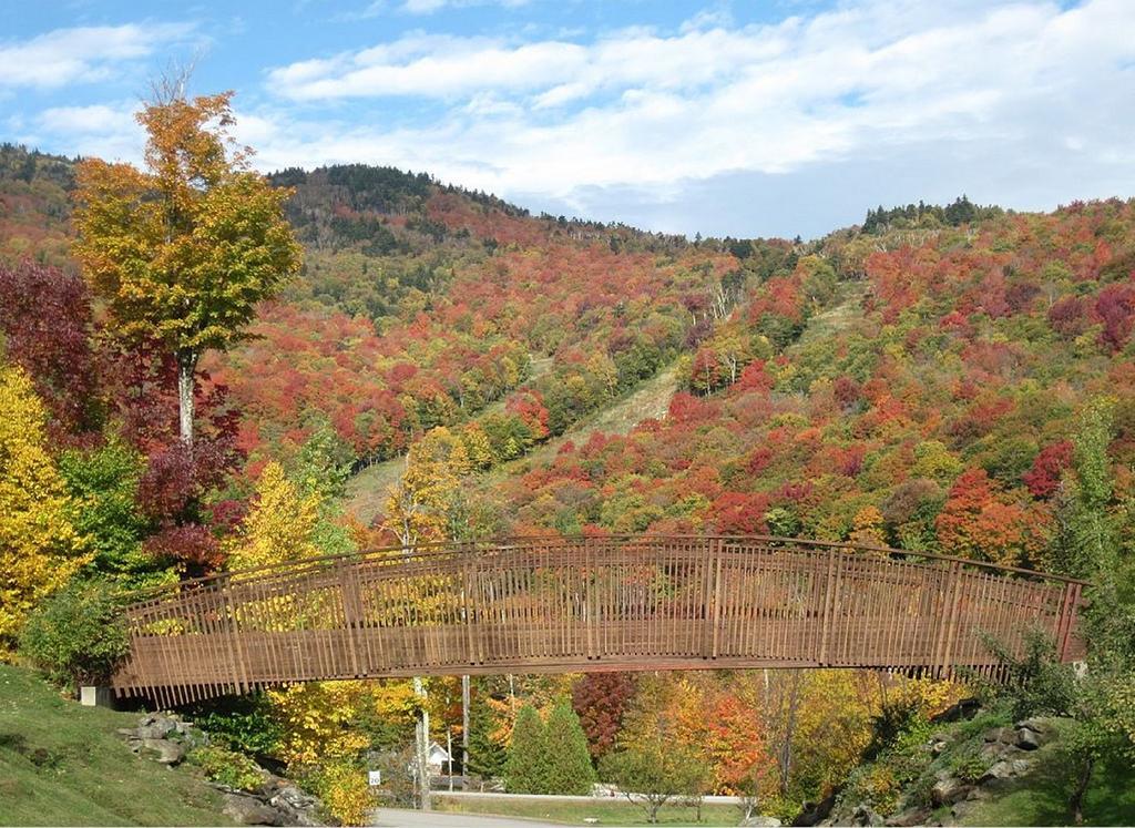 Holiday home In/out Trailside Townhome *